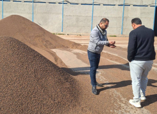 التجارة: ضبط كميات من الحنطة المصبوغة في الديوانية